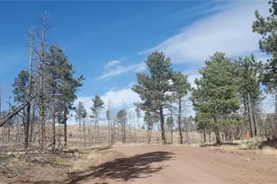 Lot 585 Leslie Loop, Fort Garland, CO 81133 - Photo 1
