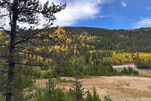 Silver Creek Rd, Idaho Springs, CO 80452 - Photo 1