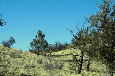 3632 Clear Creek Road, Hartsel, CO 80449 - Photo 1