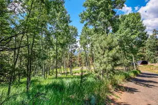 12286 Styve Rd, Conifer, CO 80433 - Photo 1