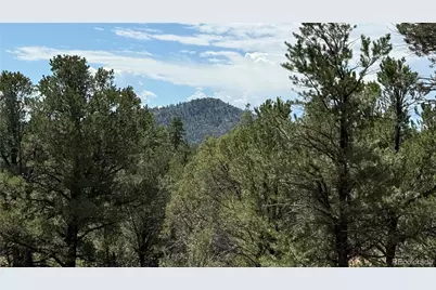 876 Q Path, Cotopaxi, CO 81223 - Photo 1