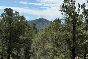 876 Q Path, Cotopaxi, CO 81223 - Photo 1