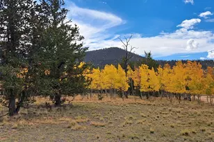 1403 Wampum Ln, Como, CO 80432 - Photo 1