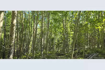 Lot 6708 Debbie Road, Fort Garland, CO 81133 - Photo 1