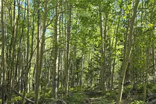 Lot 6708 Debbie Rd, Fort Garland, CO 81133 - Photo 1