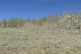 1868 Ute Trce, Hartsel, CO 80449 - Photo 1