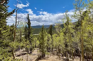 1171 Co Rd 787, Alma, CO 80420 - Photo 1