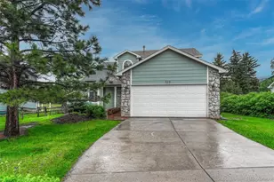 123 Wheatridge St, Palmer Lake, CO 80133 - Photo 1