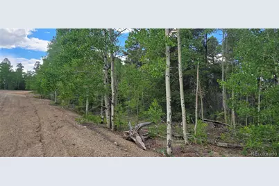 Lot 5778 Balleroy Road, Fort Garland, CO 81133 - Photo 1