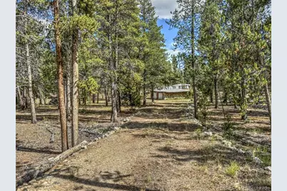 265 Placer Drive, Alma, CO 80420 - Photo 1