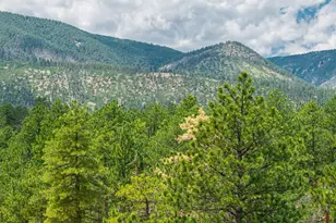 4485 Delaware Dr, Larkspur, CO 80118 - Photo 1