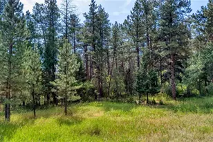 5028 Crow Dr, Larkspur, CO 80118 - Photo 1