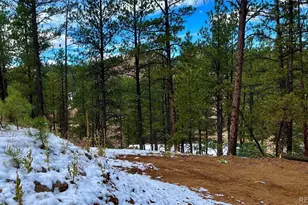 15126 N Pine Lake Pl, Woodland Park, CO 80863 - Photo 1