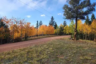 2642 Yorktown Rd, Cripple Creek, CO 80813 - Photo 1