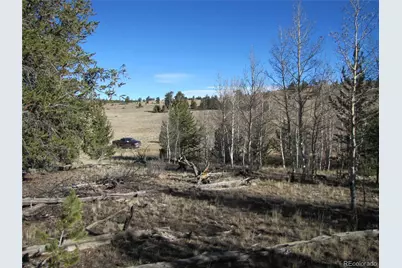 58 June Lane, Hartsel, CO 80449 - Photo 1