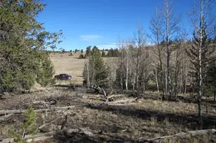 58 June Ln, Hartsel, CO 80449 - Photo 1