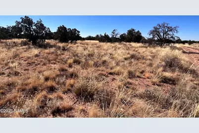 3330 E Lampe Lane #313, Williams, AZ 86046 - Photo 1