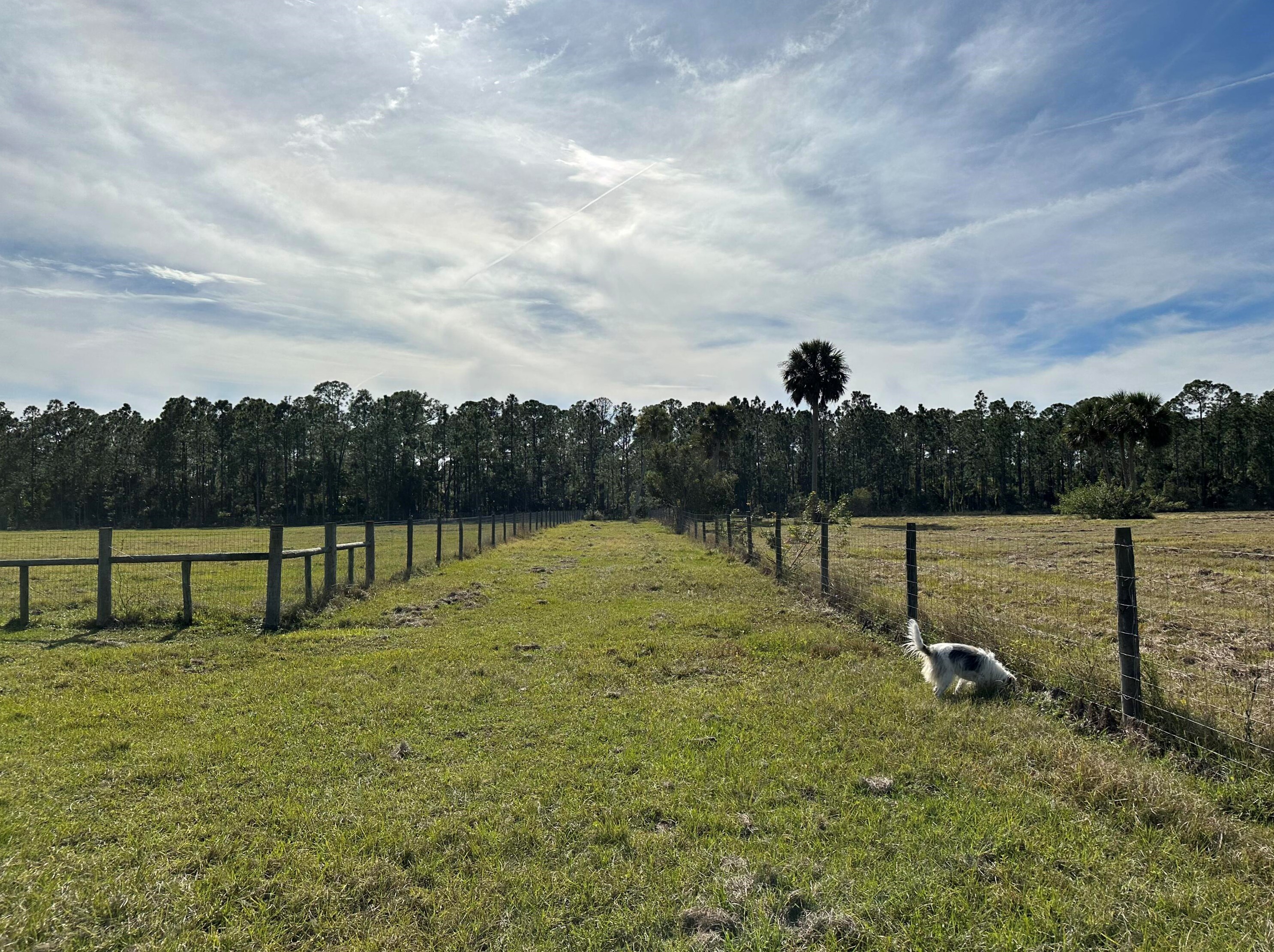 14155 103 St, Fellsmere FL  32948 exterior