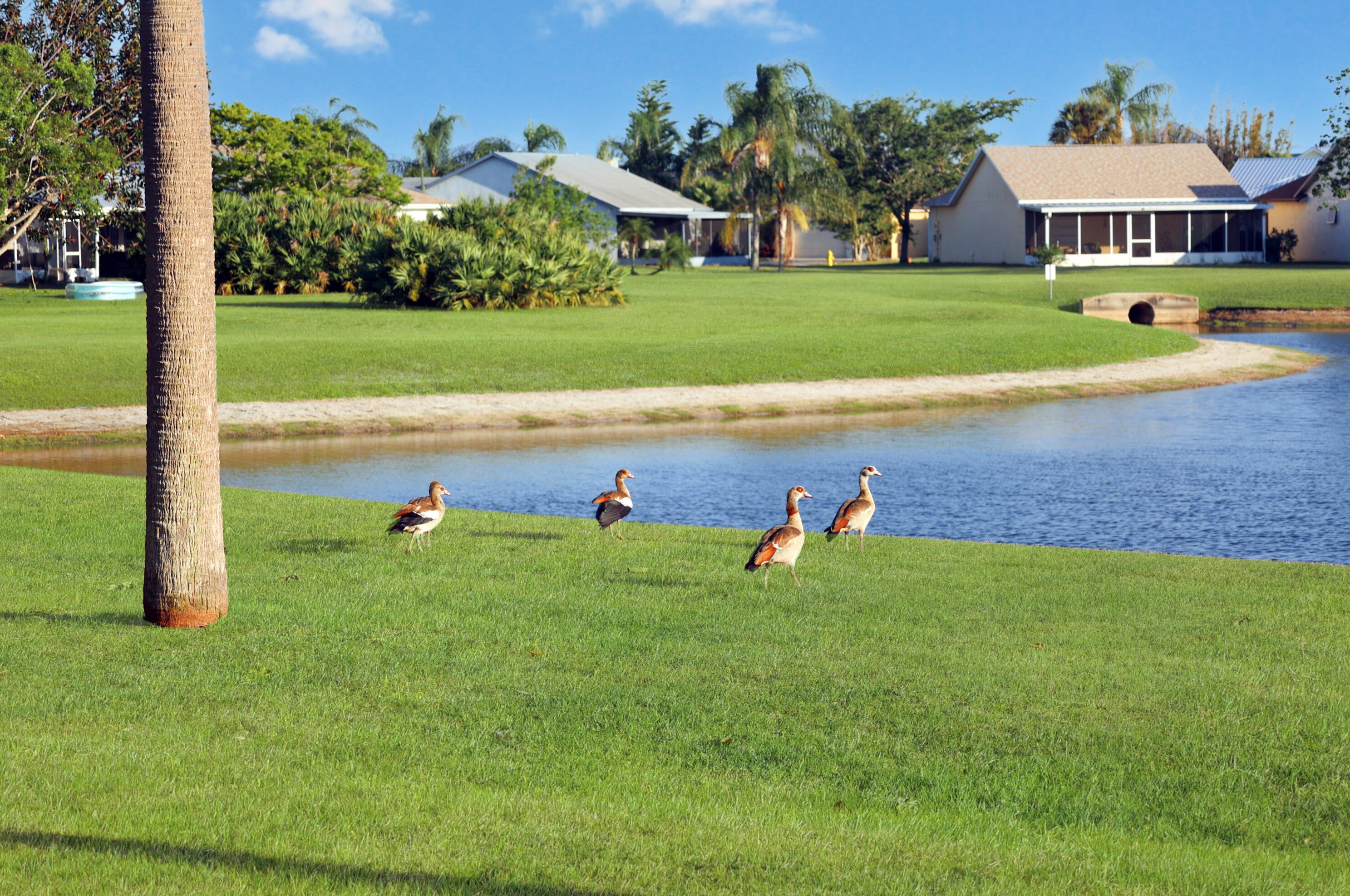 3952 Bayberry Dr, Melbourne FL 32901-8424 exterior