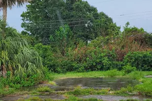 610 Paw Paw St, Cocoa, FL 32922 - Photo 1