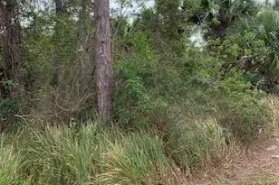 1158 Satin Road SW, Palm Bay, FL 32908 - Photo 1