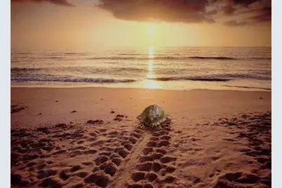 3104 River Villa Way #201, Melbourne Beach, FL 32951 - Photo 37