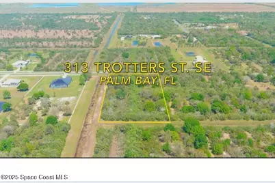 313 Trotters Street, Palm Bay, FL 32909 - Photo 1
