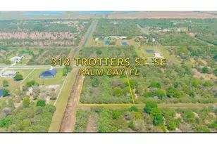 313 Trotters St, Palm Bay, FL 32909 - Photo 1