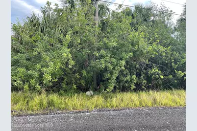 755 Wisham Street SW, Palm Bay, FL 32908 - Photo 1