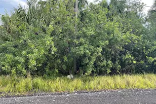 755 Wisham Street SW, Palm Bay, FL 32908 - Photo 1