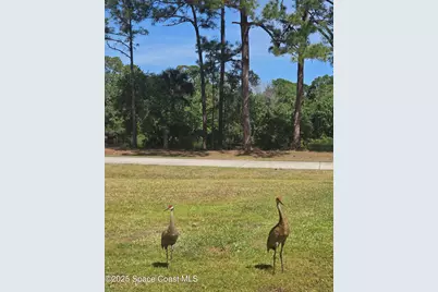 5425 James Lane, Mims, FL 32754 - Photo 49