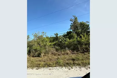 0000 Joel Avenue S, Mims, FL 32754 - Photo 3