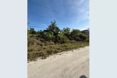 0000 Joel Avenue S, Mims, FL 32754 - Photo 5