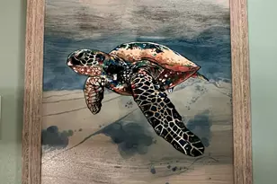 125 Adams Ave, Cape Canaveral, FL 32920 - Photo 17