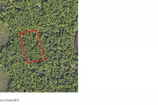 0000 Unknown, Mims, FL 32754 - Photo 1