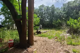 920 Malabar Rd, Malabar, FL 32950 - Photo 5