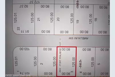 1322 Amelia Avenue SW, Palm Bay, FL 32908 - Photo 3