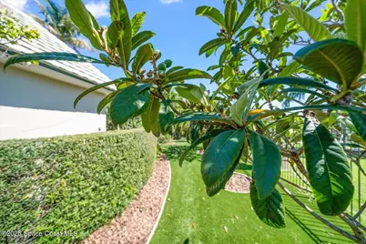 240 Lansing Island Drive, Indian Harbour Beach, FL 32937 - Photo 89