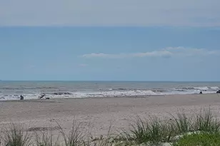 8751 Live Oak Ct, Cape Canaveral, FL 32920 - Photo 3