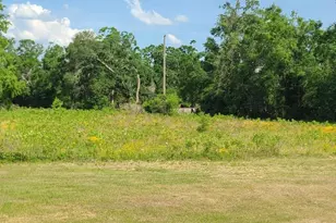 17189 Co Rd 252, Live Oak, FL 32060 - Photo 5