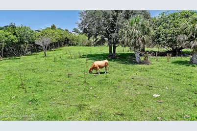 0000 Orlando Avenue, Mims, FL 32754 - Photo 19