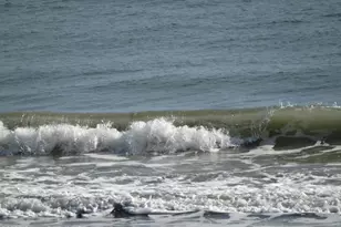 5050 Ocean Beach Blvd, Cocoa Beach, FL 32931 - Photo 23