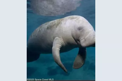 200 S Banana River Boulevard #2310, Cocoa Beach, FL 32931 - Photo 3