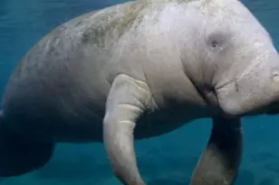 200 S Banana River Blvd, Cocoa Beach, FL 32931 - Photo 3