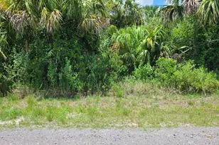 865 Laika Road SW, Palm Bay, FL 32908 - Photo 1