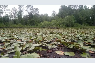 125 Moiser Lane, Melrose, FL 32666 - Photo 67