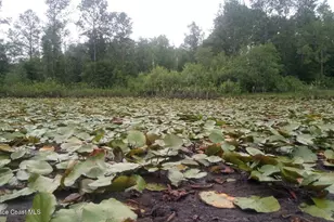 125 Moiser Ln, Melrose, FL 32666 - Photo 67