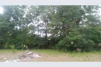 125 Moiser Lane, Melrose, FL 32666 - Photo 43