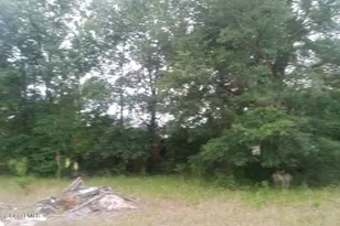 125 Moiser Ln, Melrose, FL 32666 - Photo 43