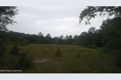 125 Moiser Lane, Melrose, FL 32666 - Photo 63